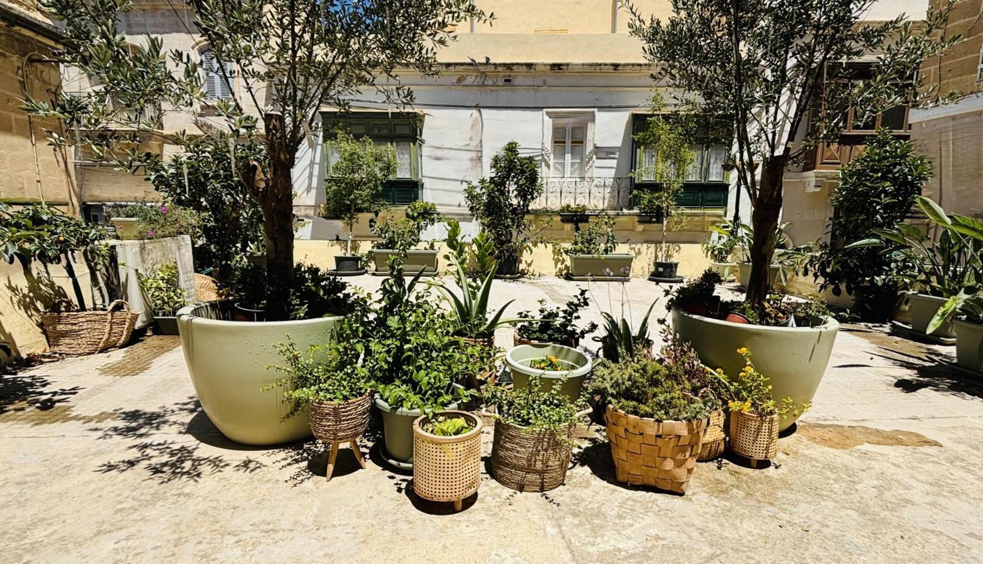 CospicuaCasa Maria Tereza住宿加早餐旅馆 外观 照片